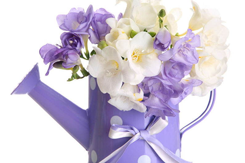 Freesia Care - Watering