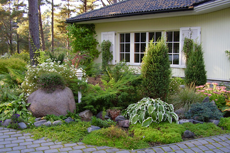 Host in landscape design and floristry