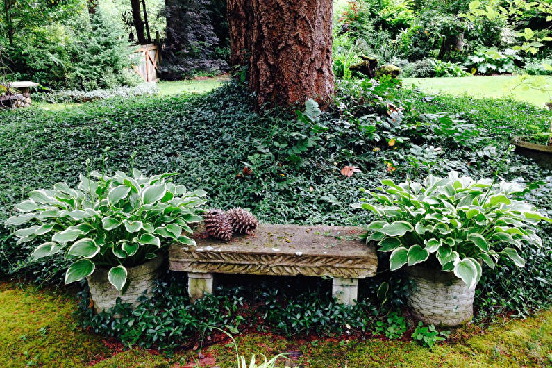Host in landscape design and floristry