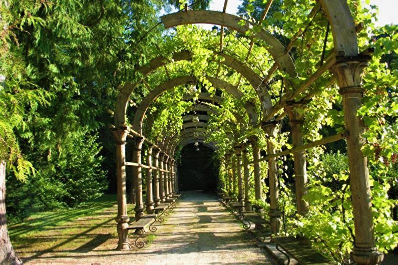The role of pergola in garden design