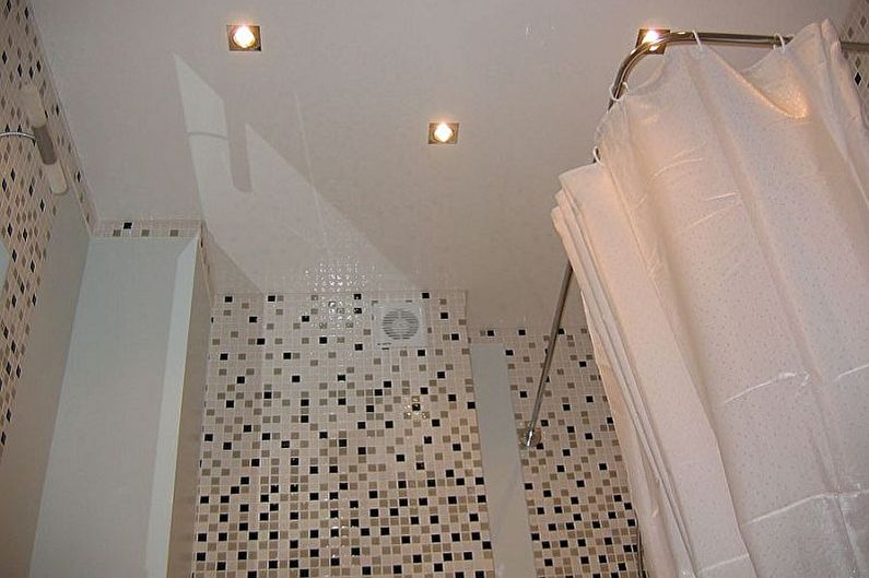 Bathroom design 3 sq.m. - ceiling decoration