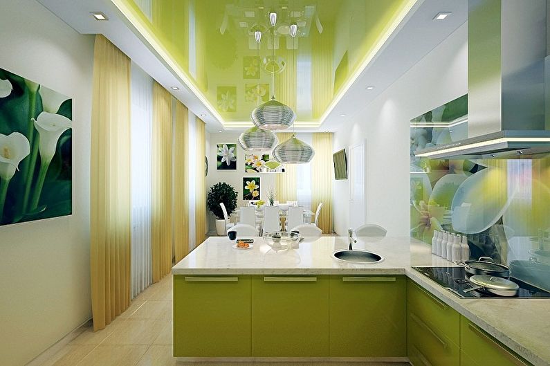 White and Green Kitchen Design - Ceiling Finish